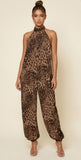 Wild Instinct Leopard Halter Jumpsuit